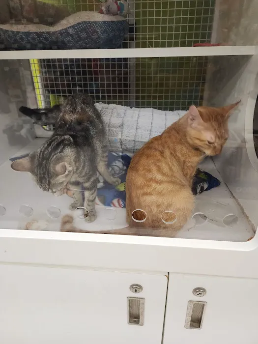 Petco Picture 6