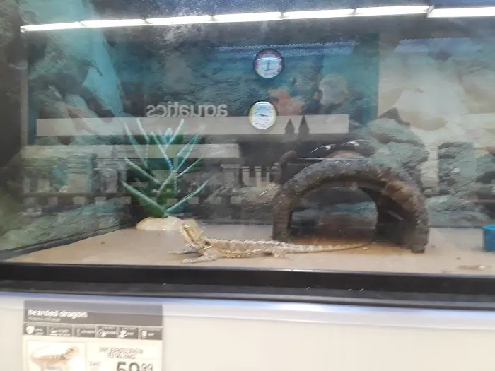 Petco Picture 4