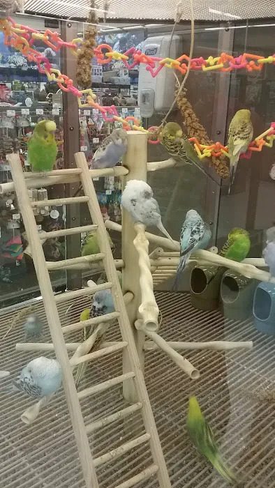 Petco Picture 7