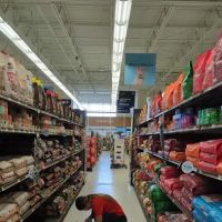 Petco ico