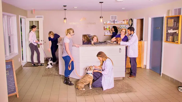 Hebron Veterinary Hospital Picture 6
