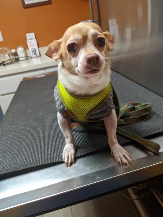 Hebron Veterinary Hospital Picture 1