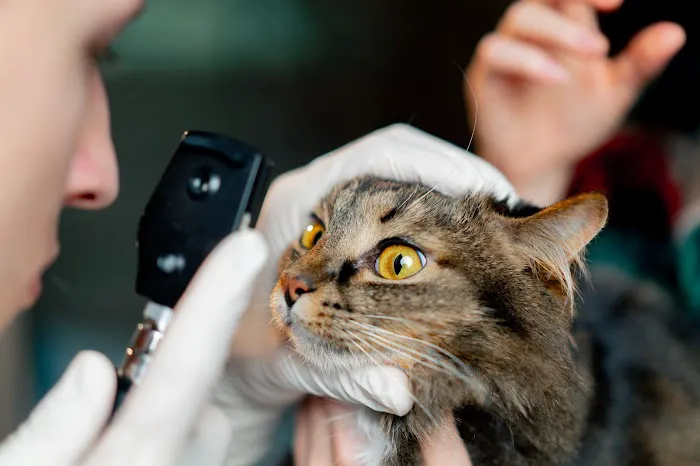 Hebron Veterinary Hospital Picture 8