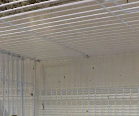 Houston Canary Bird Pet Shop and Supplies