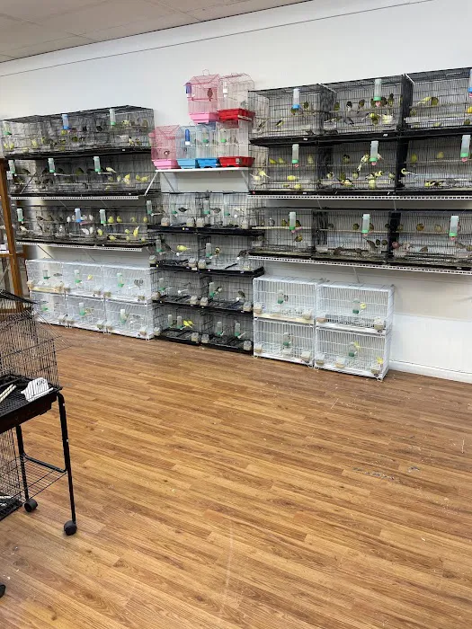 Houston Canary Bird Pet Shop and Supplies Picture 10