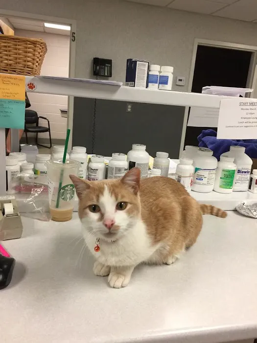 Colchester Veterinary Hospital Picture 1