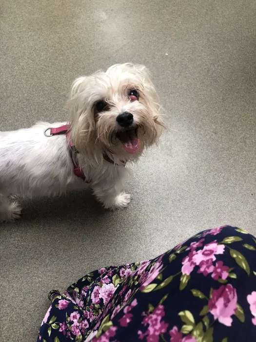 Colchester Veterinary Hospital Picture 10