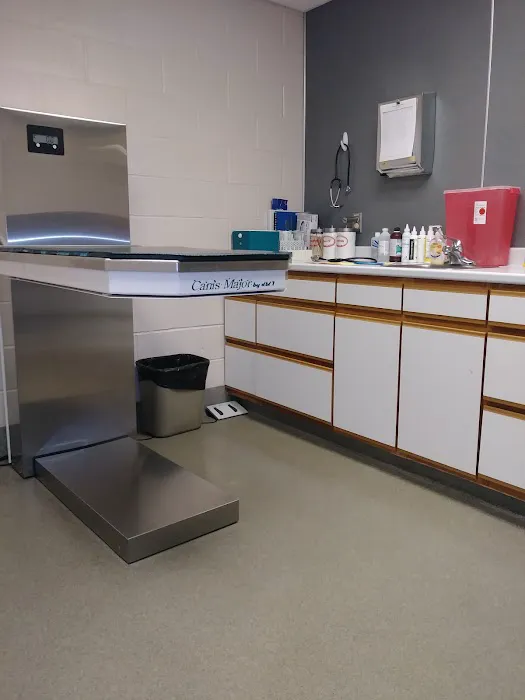 Colchester Veterinary Hospital Picture 3