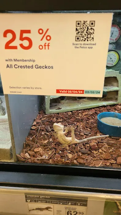 Petco Picture 8