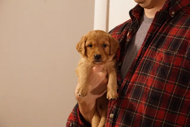 East Haddam Veterinary Clinic Picture 2