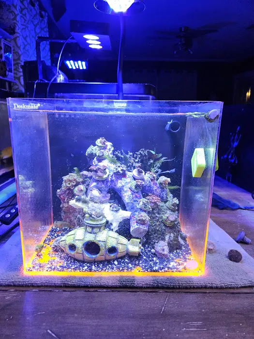 Scalywaves Exotics Picture 2