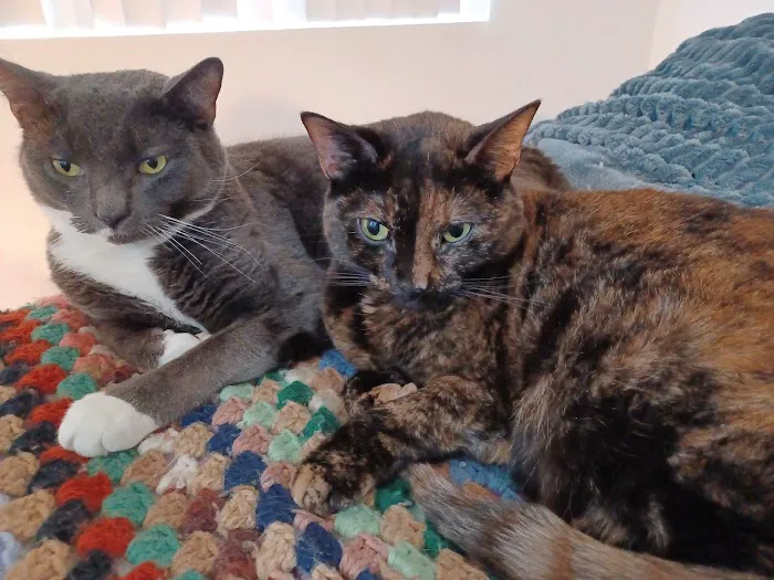 Salem Valley Veterinary Clinic Picture 9