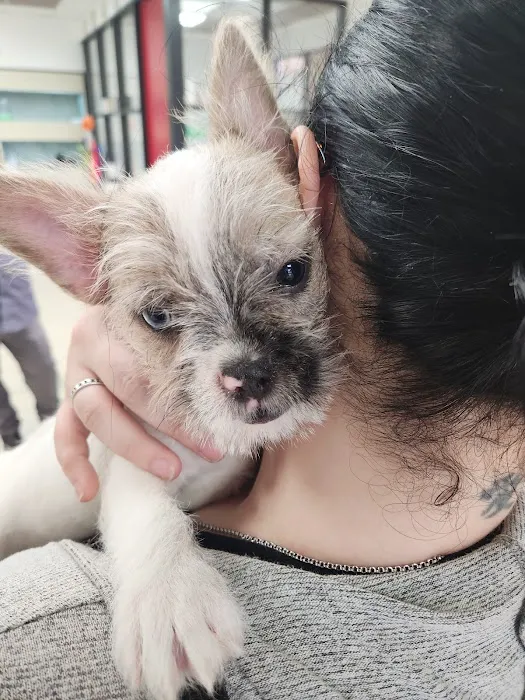 My Family Pet store Picture 4