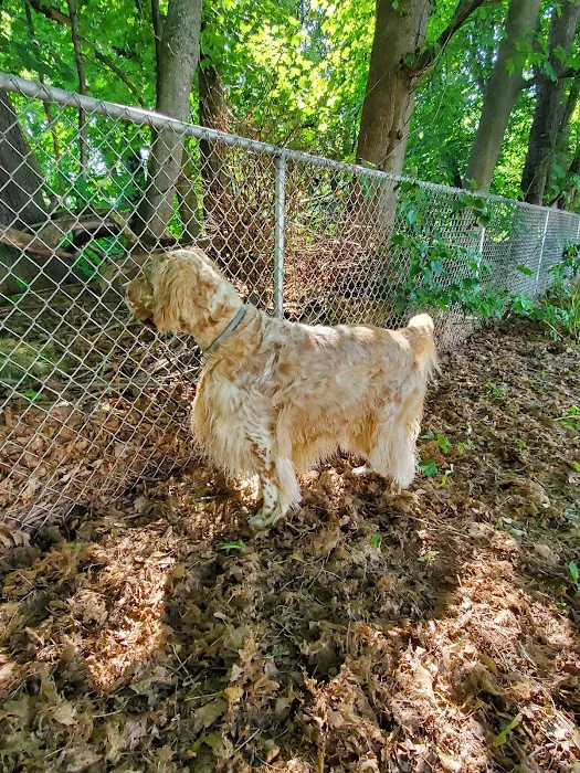 Deep River Animal Hospital Picture 5