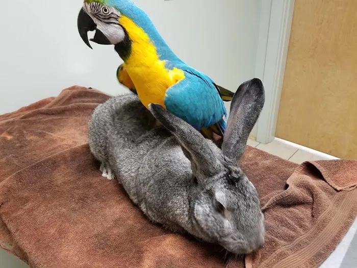 Deep River Animal Hospital Picture 7