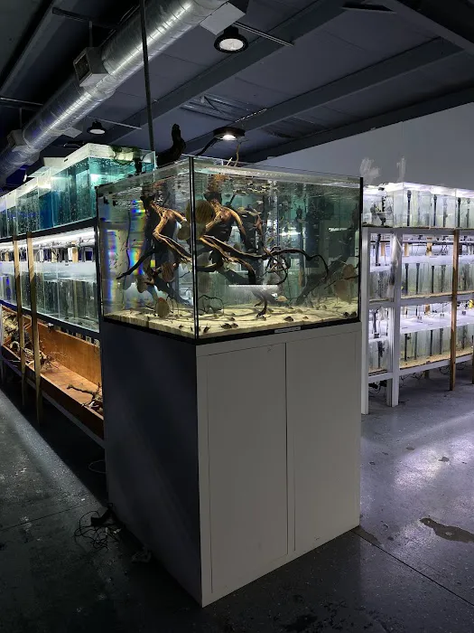 That Aquarium Place Picture 9