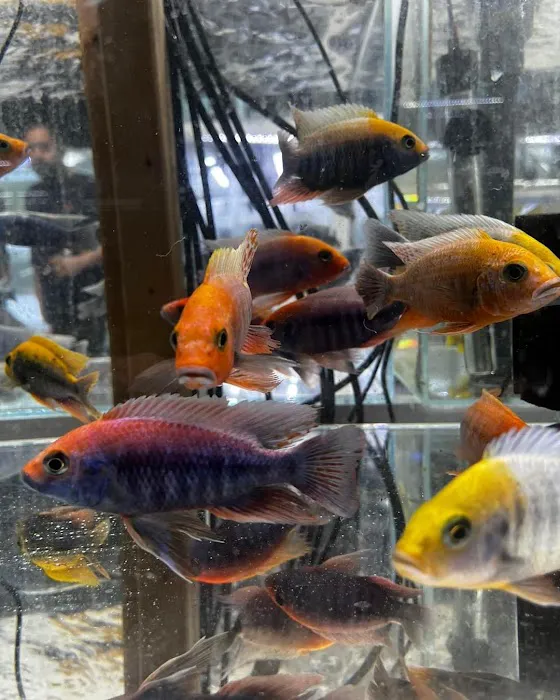 That Aquarium Place Picture 3