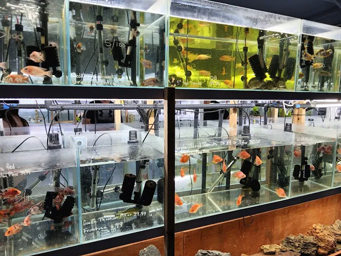 That Aquarium Place Picture 1