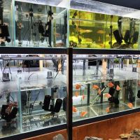 That Aquarium Place ico