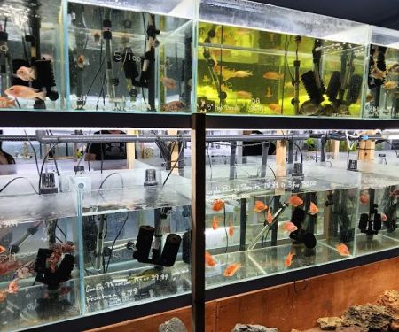 That Aquarium Place