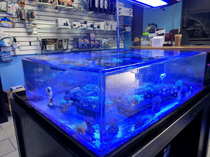 That Aquarium Place Picture 10