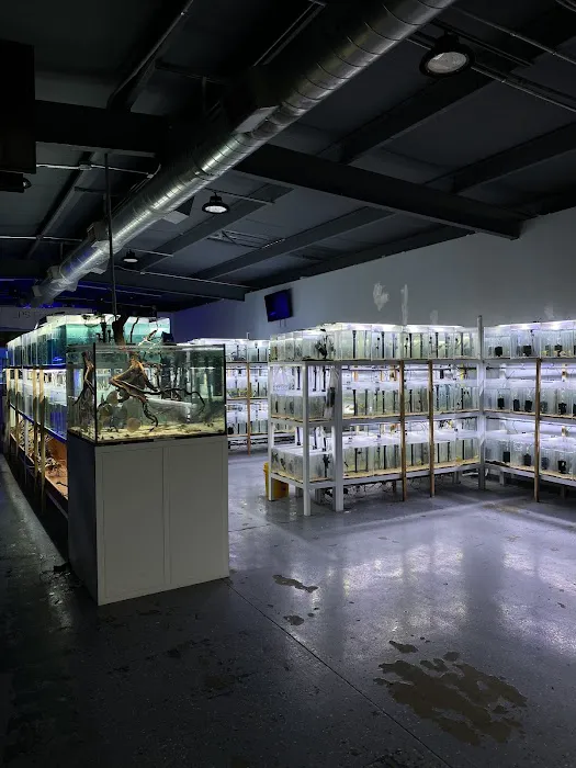 That Aquarium Place Picture 5