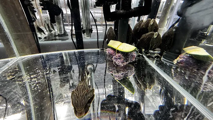 That Aquarium Place Picture 4