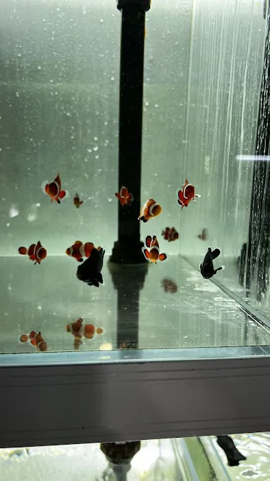 That Aquarium Place Picture 6