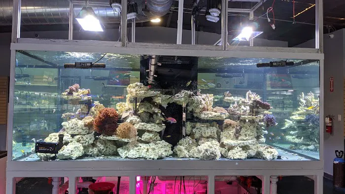 That Aquarium Place Picture 8