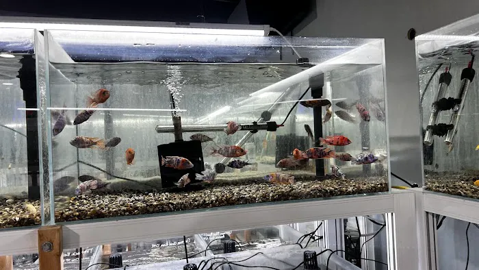 That Aquarium Place Picture 2