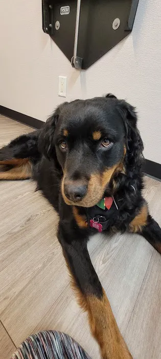 Essex Veterinary Clinic Picture 4