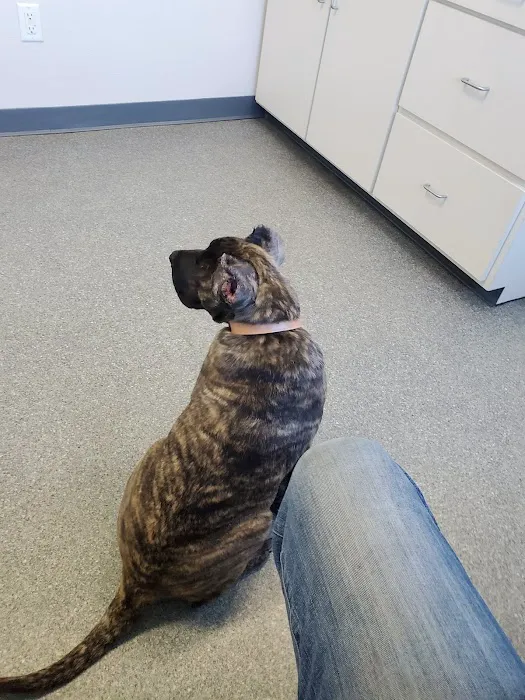 Essex Veterinary Clinic Picture 8
