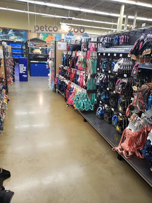 Petco Picture 6