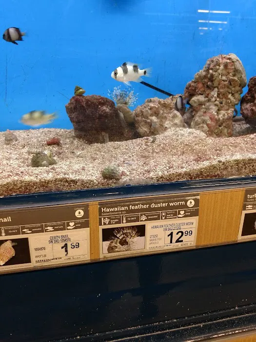 Petco Picture 2