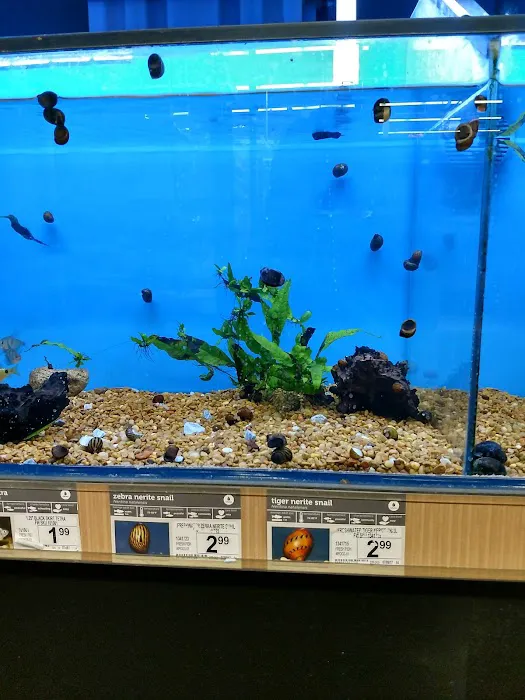 Petco Picture 3