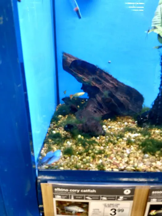 Petco Picture 1
