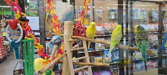 Petco Picture 8