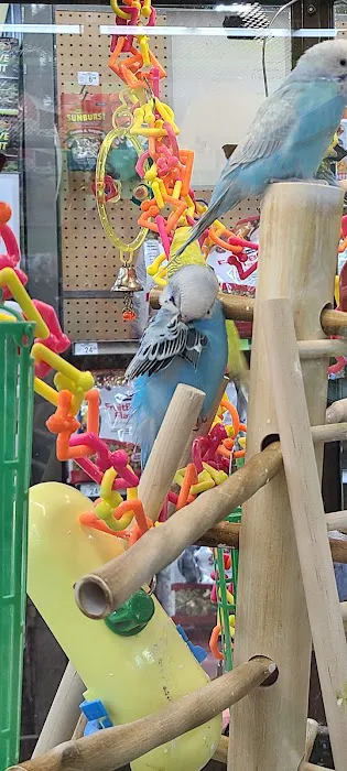Petco Picture 4
