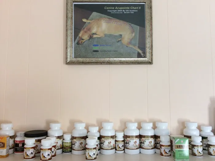 Veterinary Acupuncture and Herbal Medicine Picture 4