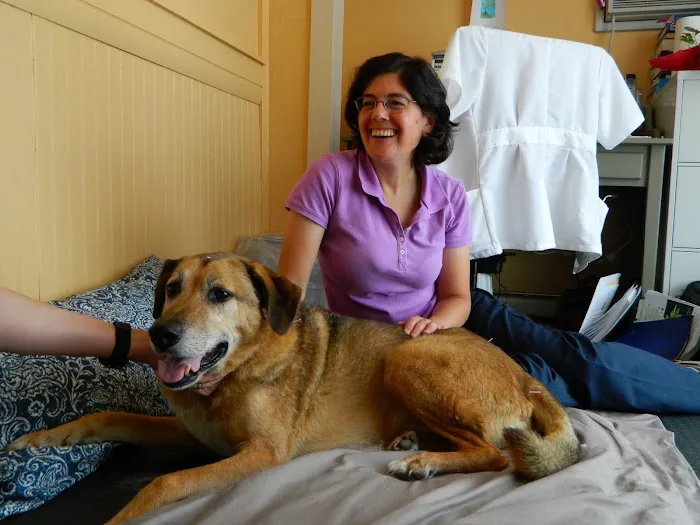 Veterinary Acupuncture and Herbal Medicine Picture 9