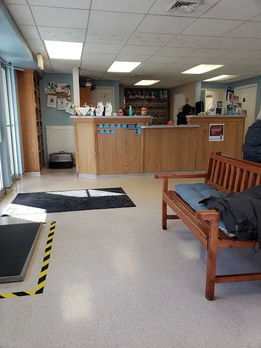 Killingworth Animal Hospital Picture 8
