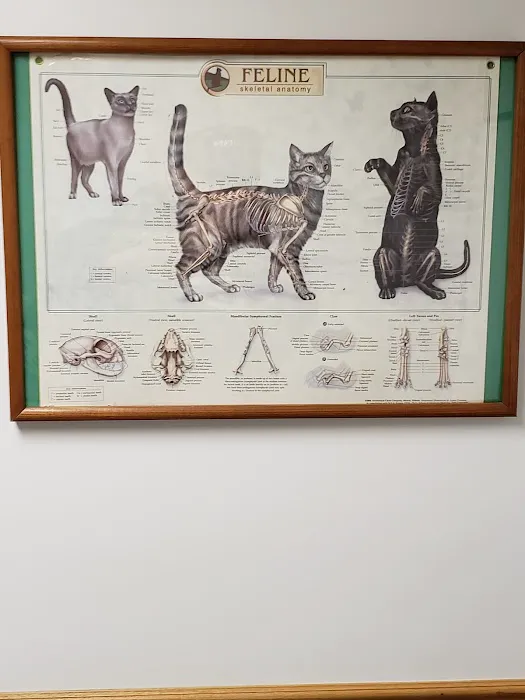 Killingworth Animal Hospital Picture 5