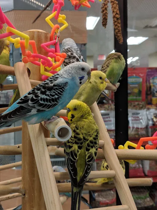 Petco Picture 10