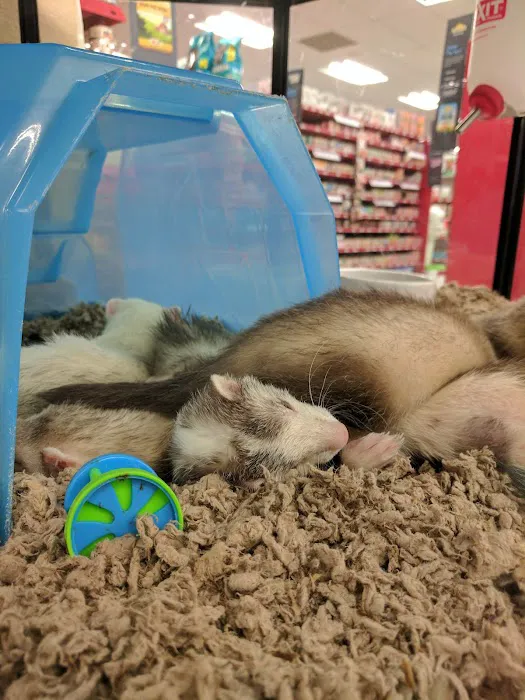 Petco Picture 5