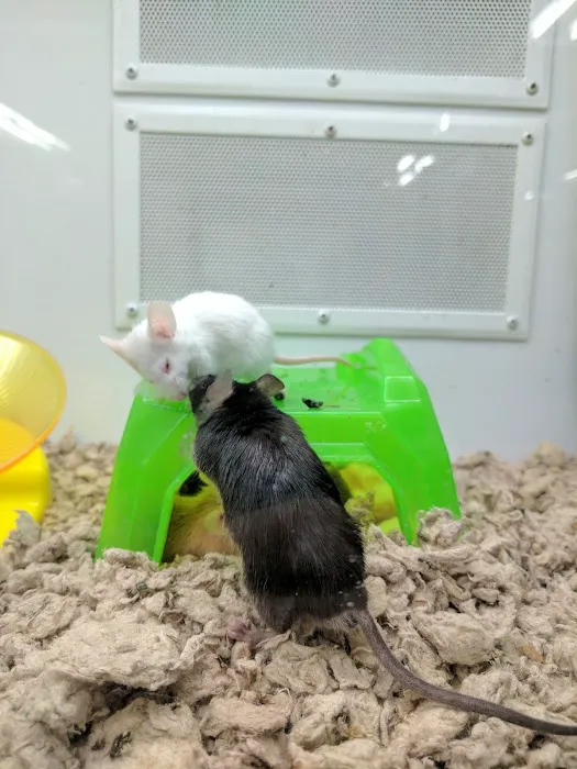 Petco Picture 4