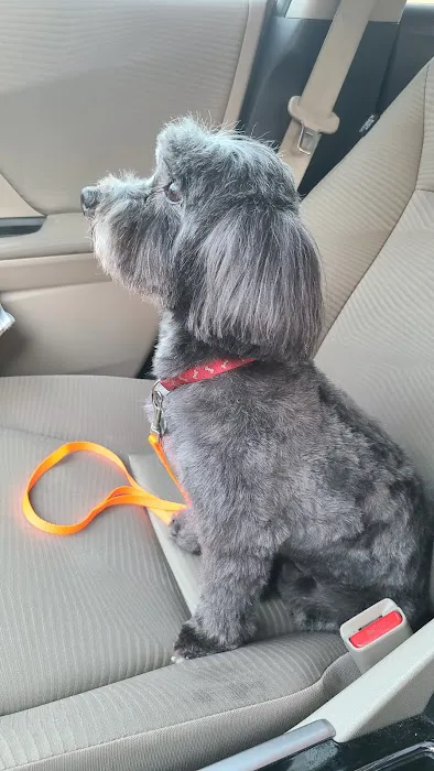 Petco Picture 6