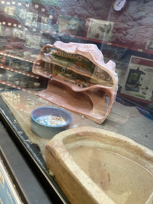 Petco Picture 7