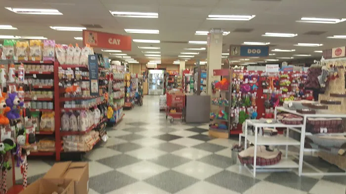Petco Picture 1