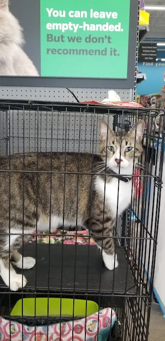Pet Supplies Plus Katy East Picture 1