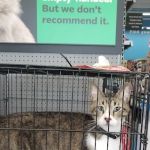 Pet Supplies Plus Katy East